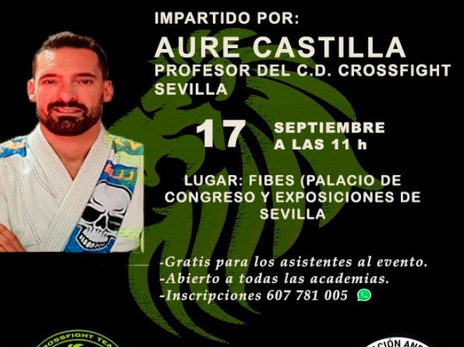 Seminario-Brazilian-Jiu-Jitsu
