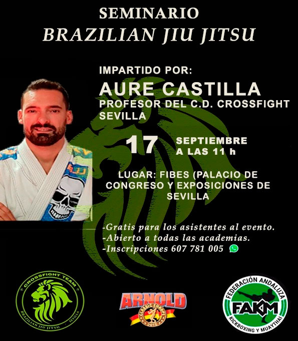 Seminario-Brazilian-Jiu-Jitsu